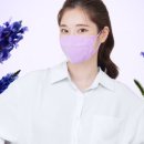 라파힐 이미지