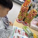 [4월 초록별돌보미] 수현이네 지구살리기 활동 이미지