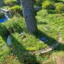 고인목장 이미지