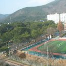 신흥동 해군아파트 앞 Daum카페