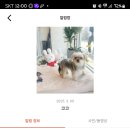 코코목욕 이미지