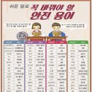 행정용 70 이미지