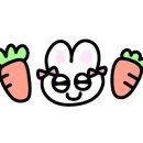 펄스전자 이미지