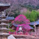 華嚴寺散步(화엄사 산보)-萬海 韓龍雲(만해 한용운) 이미지