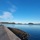 무기수산좌대낚시터 이미지