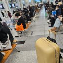센과치히로의 행방불명 뮤지컬 시야제한석 2층 A열, 봉산옥 만두국