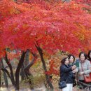 (주)구름주유소 Daum카페