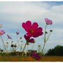 화랑유원지_암벽등반장주변 이미지