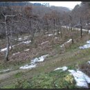 마령산해로(임동면) 이미지