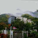금대펜션