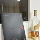 [홍대 셀프스튜디오] 살롱인디앙 만삭사진 촬영후기