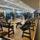 데일리짐 | 남성역 헬스장 데일리짐 후기