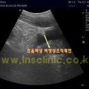 엘앤에스비뇨기과의원 이미지