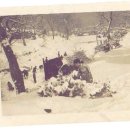 청명약국 이미지