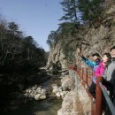 (주)키츠코리아 서울경제