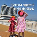 고성 아이와 가볼만한 곳 송지호바다하늘길