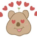 고은솔루션 이미지