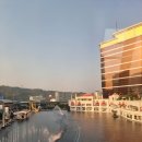 윈플라워 | 마카오 윈 팰리스 완벽 정복! 화려한 생화 장식부터 수영장 카페, 스카이캡 탑승 꿀팁까지
