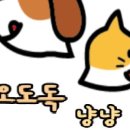 오도독수제간식