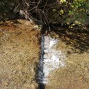 인천대공원역 이미지