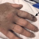 가정1-01-051 이미지