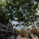 사파동202 이미지