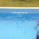 제주 개구리펜션 가족독채펜션 네이버블로그