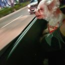 카카오당구장 이미지