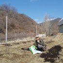 산골백두 이미지