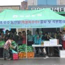 일일농산물 이미지