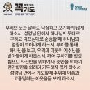 콩깍지 이미지