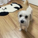 솔이네민박 이미지