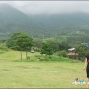 금와농장 이미지