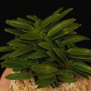 임천농장 이미지