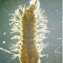 영하슈퍼 이미지