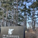 딸기짐 | JW메리어트 동대문 딸기뷔페 평일 후기