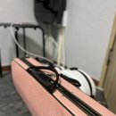 바이올린(야간) 이미지