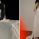 Beauty in Dog's 이미지