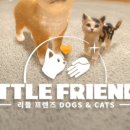 주식회사 펫프렌즈 네이버블로그