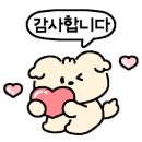 대풍여의 이미지