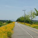 자전거쉼터화장실 | 현충일 연휴, ‘남한강자전거길종주’ 너로 정했어. (1일차 : 여주~충주 70K)