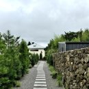 스테이 캄캄 이미지