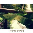 산에는 꽃이피네민박 네이버블로그
