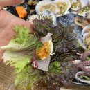 발산역횟집 가성비좋고 신선한 마곡동횟집 뽀그리회수산 후기