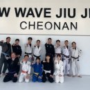 수원-0095 이미지