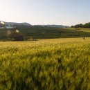 파도농장 이미지