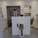 마루네안경 이미지