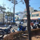 여수연안여객선터미널 | 여수연안여객선터미널 섬여행 / 여객선 시간표.운임,(거문도 백도)