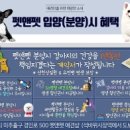 펫앤펫 인천점 강아지분양의 모든것 이미지