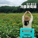 원주 용수골 가을꽃축제 개막일 방문 후기 _ 부대시설